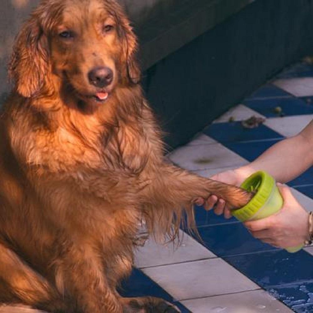 Pet Paw Cleaner