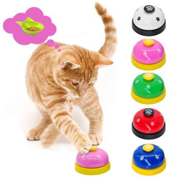 Pet Dinner Reminder Toy