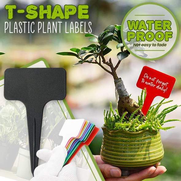 Plastic Plant Labels