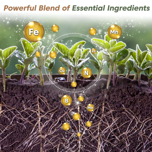 GFOUK RootBoost Nutrient Powder