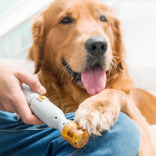 Premium Painless Nail Clipper for Pets  All Size Dogs & Cats