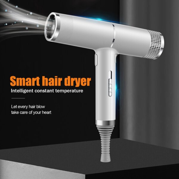 Negative Ionic Hair Dryer