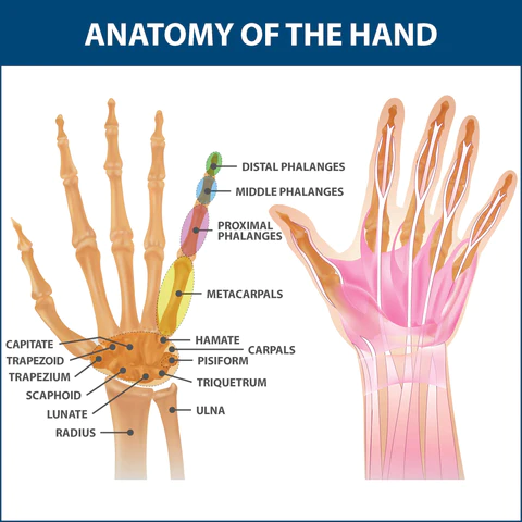 FlexiGrip Joint Arthritis Glove