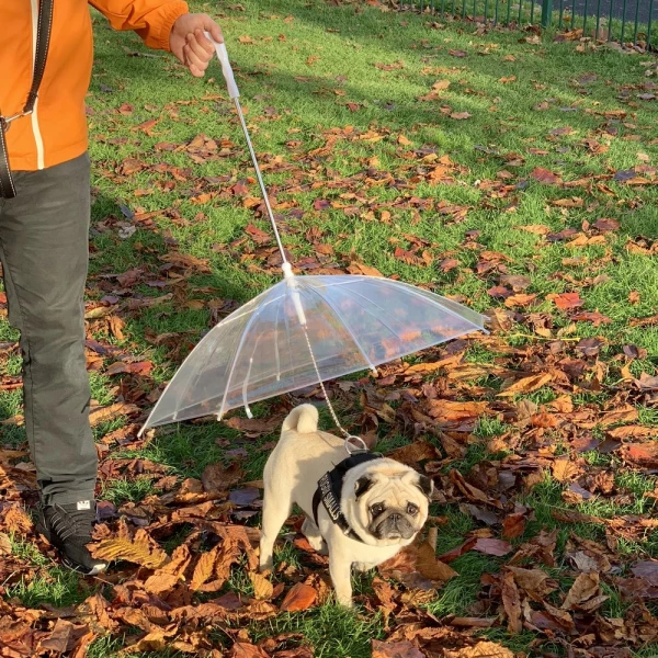 Rainproof Umbrella Dog Leash For Small Dogs