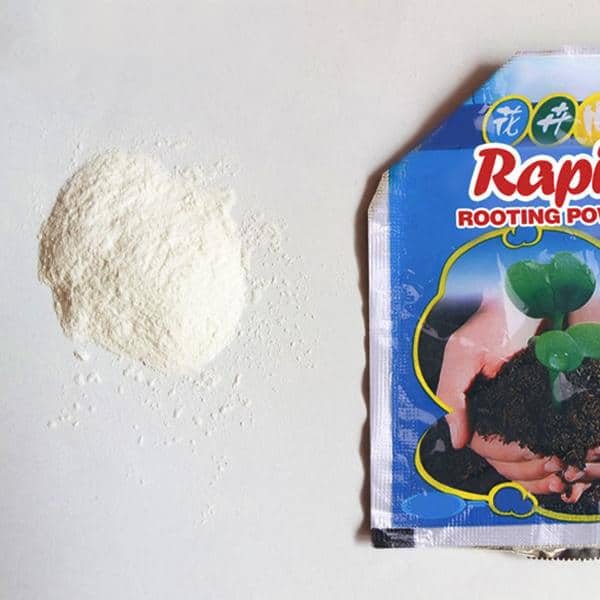 GrowPro Rapid Rooting Powder