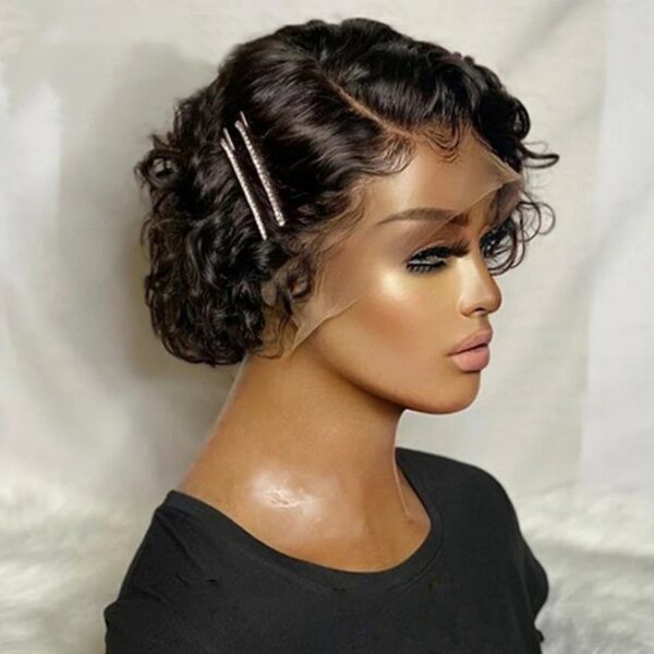 Short Curly Wig