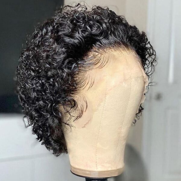 Short Curly Wig