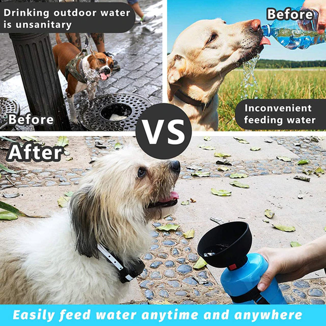 Foldable Cap Outdoor Dog Water Bottle