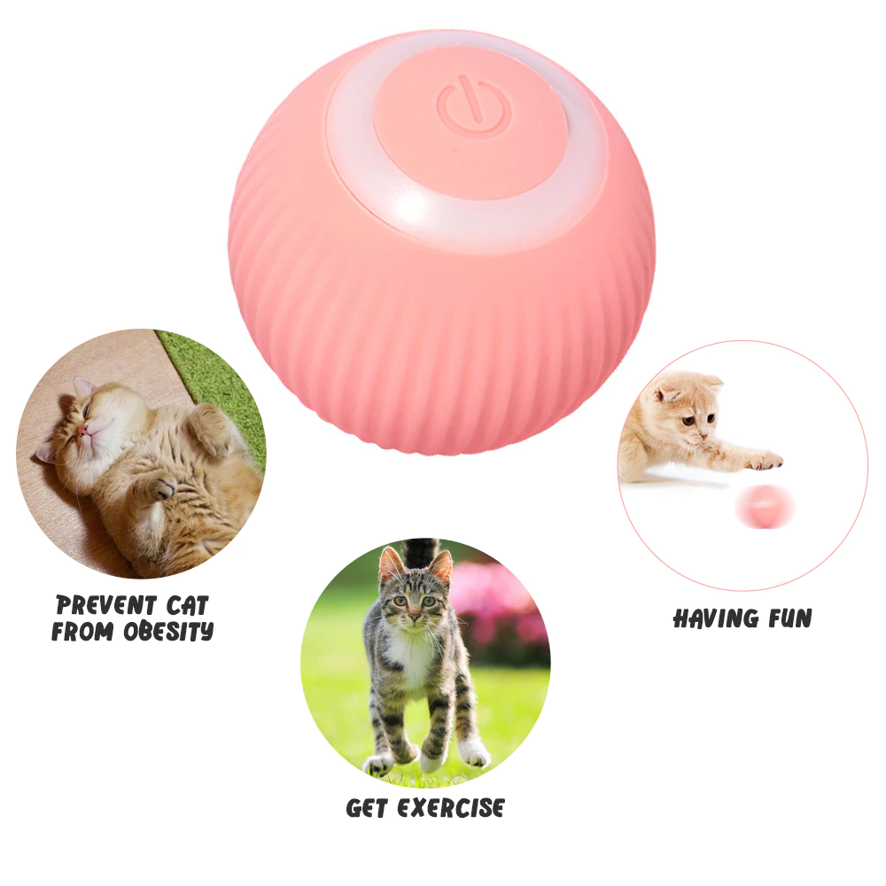 Rolling Ball Cat Toy