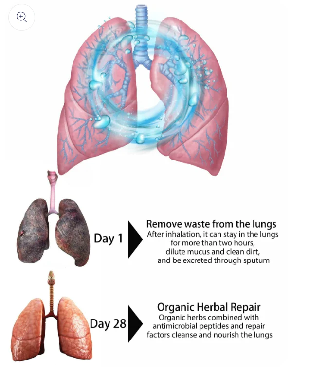 ELCHEST Herbal Lung Cleanse Repair Nasal Spray