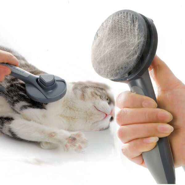 Self-Cleaning Slicker Brush