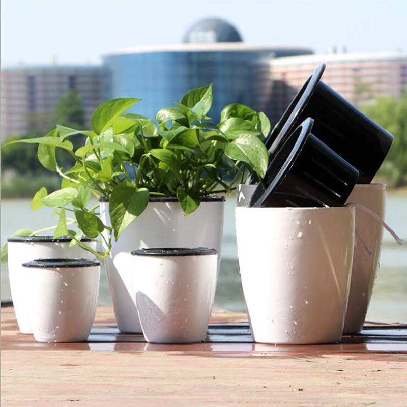 Self Watering Hanging Basket