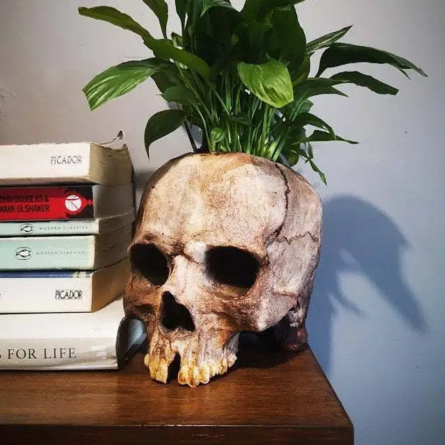 Shape Resin Skull Flower Pot