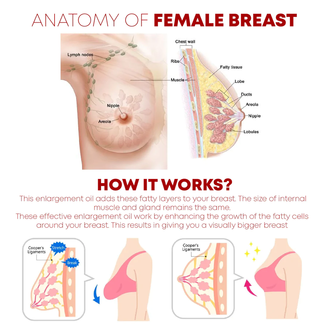 SizeMAX BreastEnhancement Reshape Cream