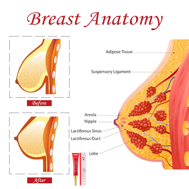 SizeMAX BreastEnhancement Reshape Cream