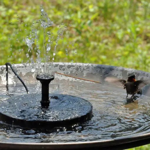 Solar Powered Bird Bath Fountain Kit