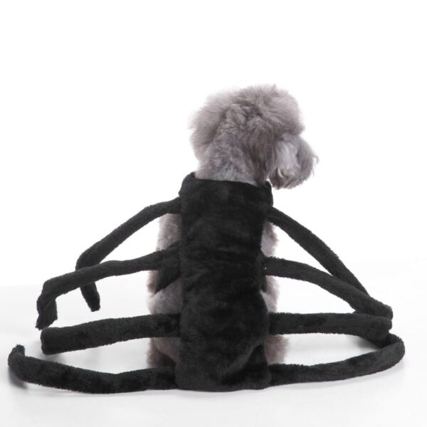 Halloween Spider Costume For Dogs