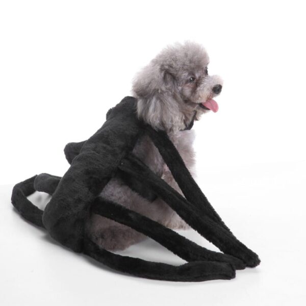 Halloween Spider Costume For Dogs