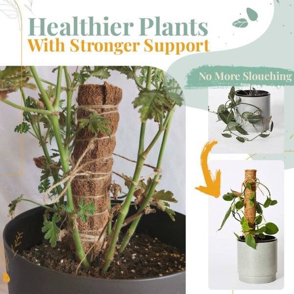 Stackable Plant Support