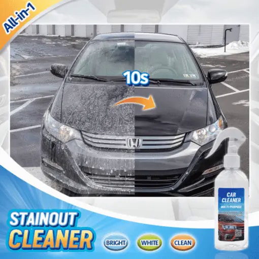 StainOut All-in-1 Bubble Cleaner