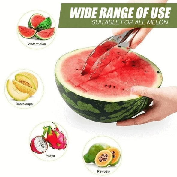 Stainless Steel Melon Slicer