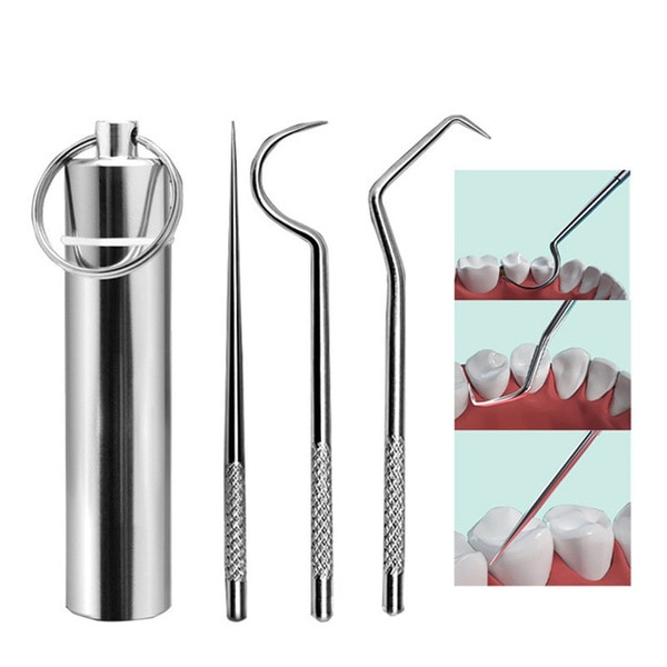 Stainless Steel Toothpick Set