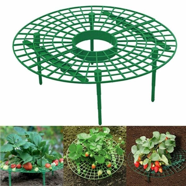 Strawberry Planting Support Frame