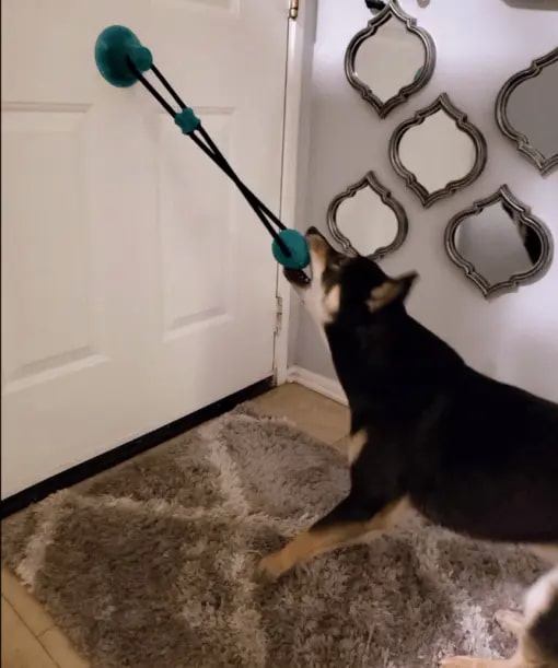 Tug Toy For Dogs