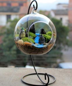 Teardrop Glass Terrarium