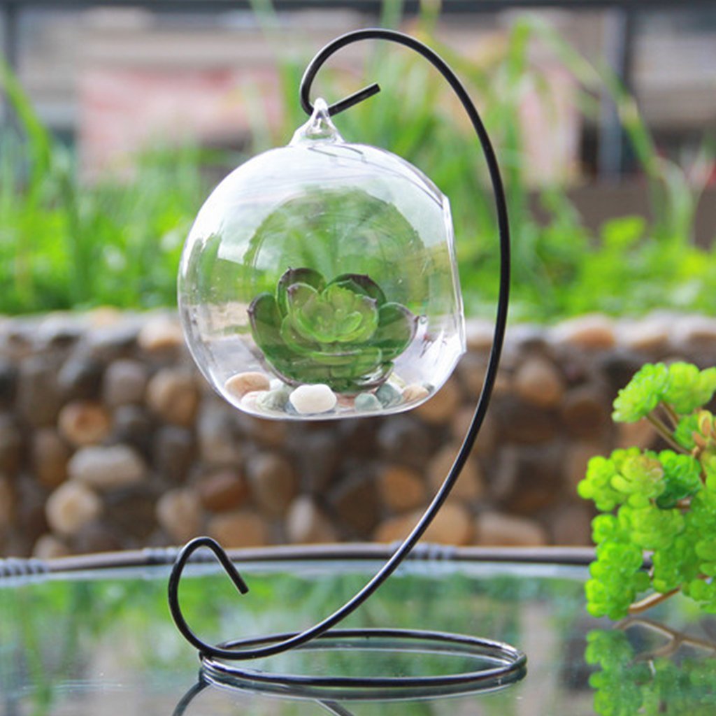 Teardrop Glass Terrarium