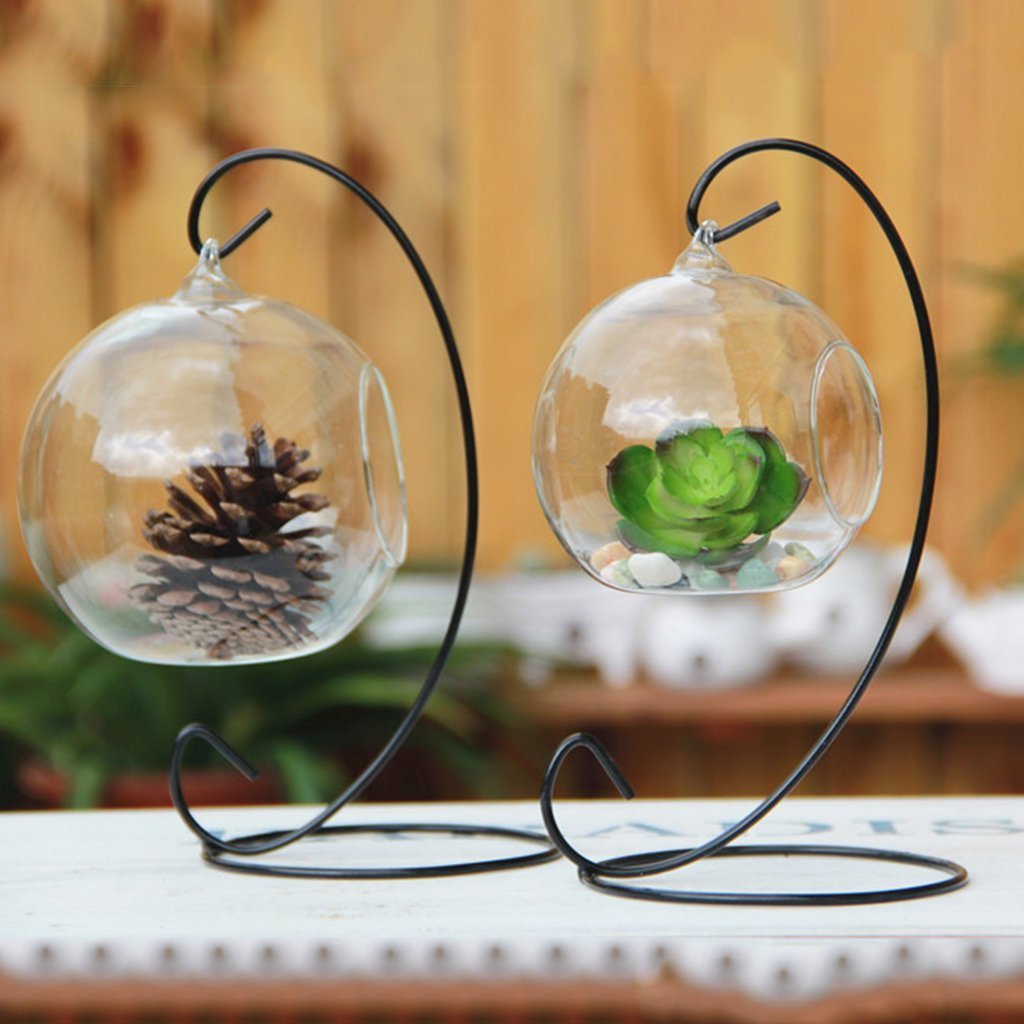 Teardrop Glass Terrarium