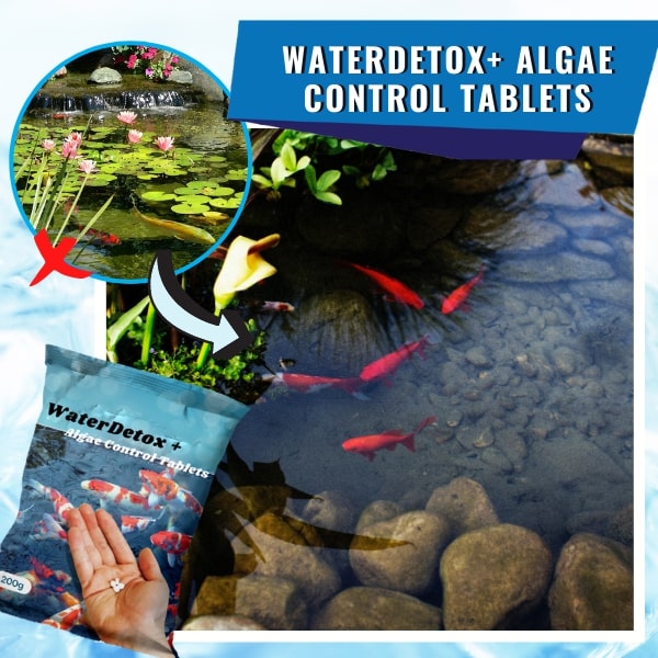 Tetra Algae Control Tablets