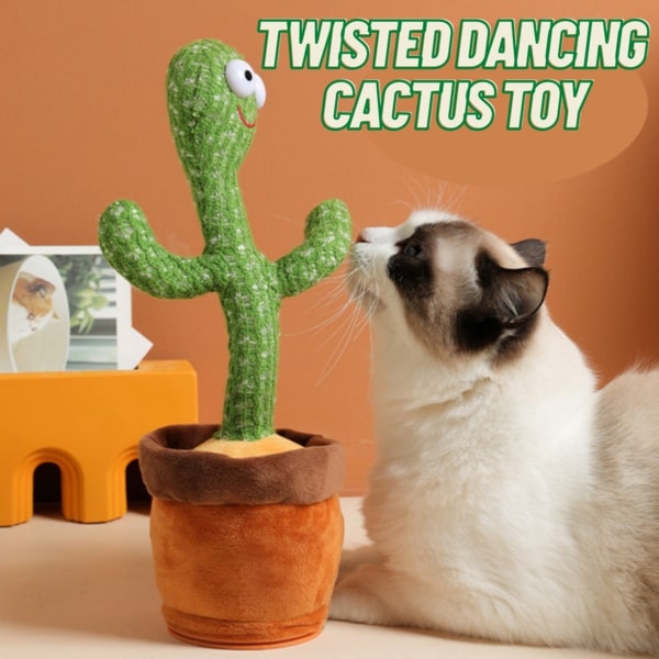 Twisted Dancing Cactus Toy