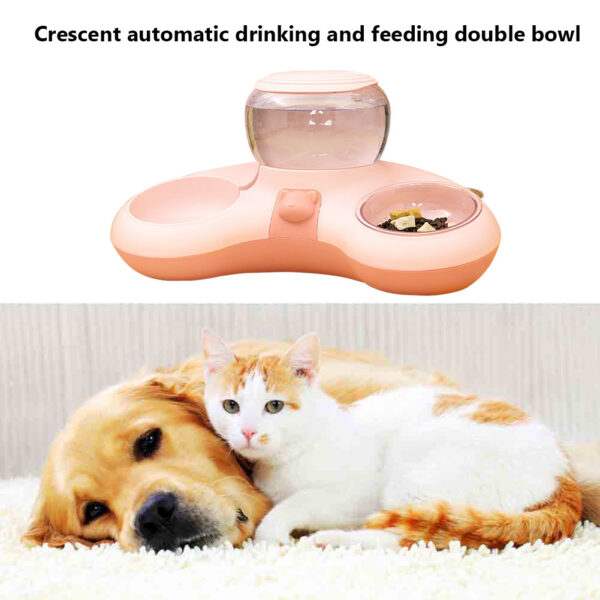 Pet Automatic Feeder Bowl