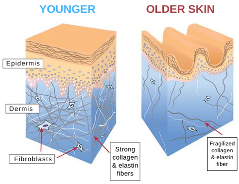 FaceLift Anti-wrinkle Patch