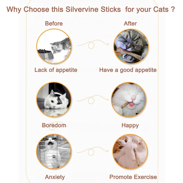 Sticks for Cats