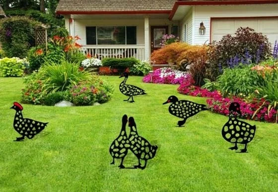 Chicken Art Of Garden