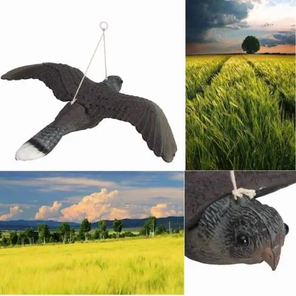 Artificial Flying Bird For Farm Pest Control