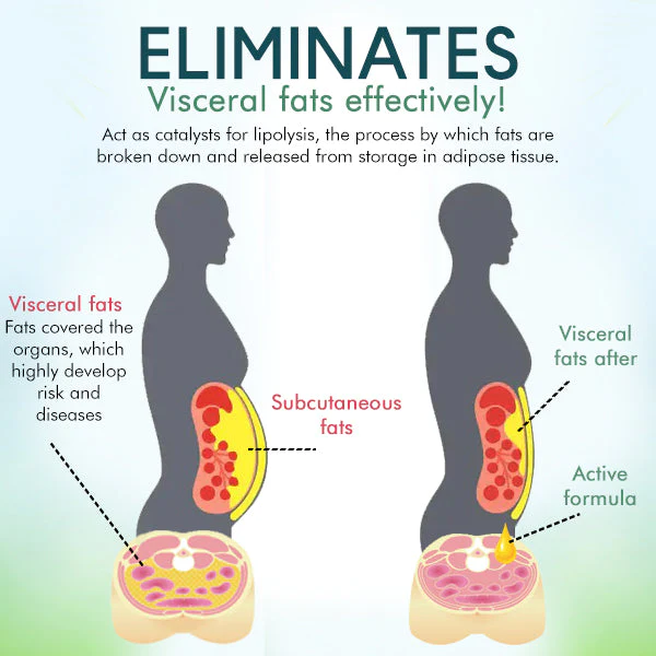 Healthify Visceral Fat Treatment Drops