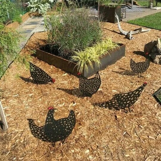 Chicken Art Of Garden