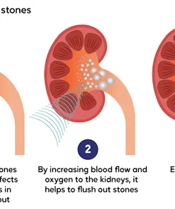 Healthtify Kidney Boost & Care Inhaler