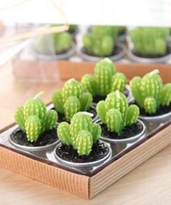 Mini Cactus Candles