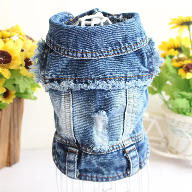 Small Dog Denim Jacket