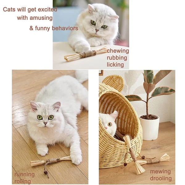 Sticks for Cats