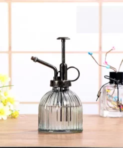 Glass Spray Bottle