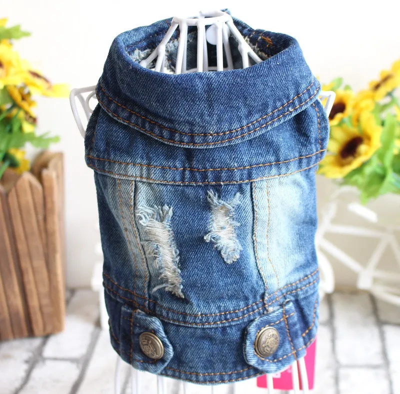 Small Dog Denim Jacket