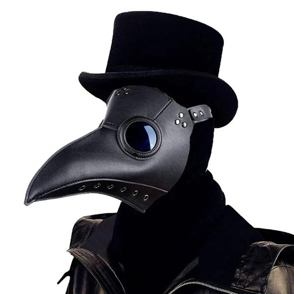 Halloween Plague Doctor Bird Mask