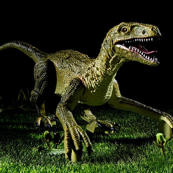 Remote Control Dinosaur Toys