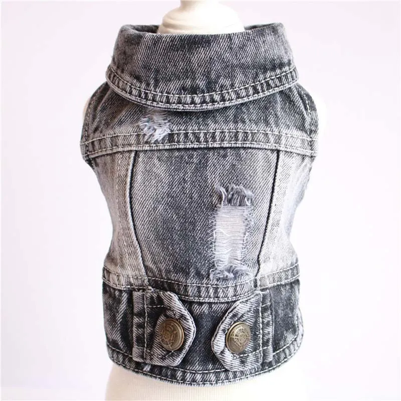 Small Dog Denim Jacket