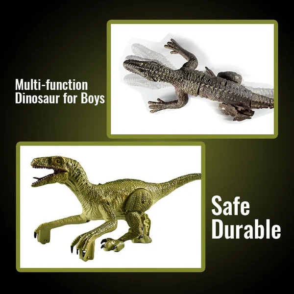 Remote Control Dinosaur Toys